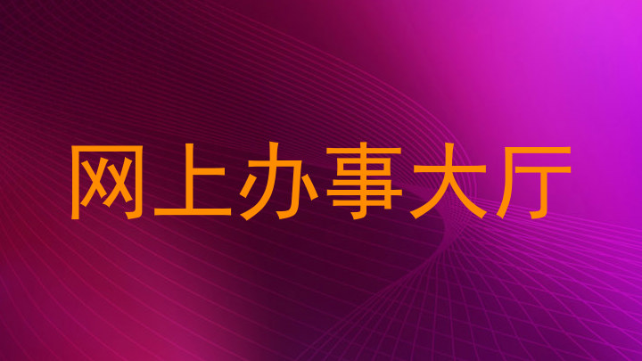 网上办事大厅