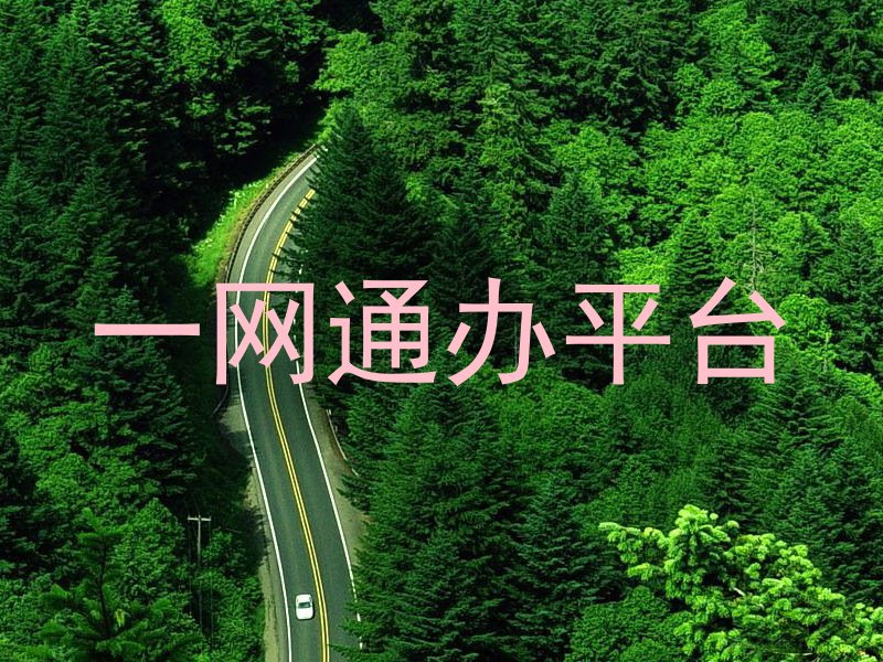 一网通办平台