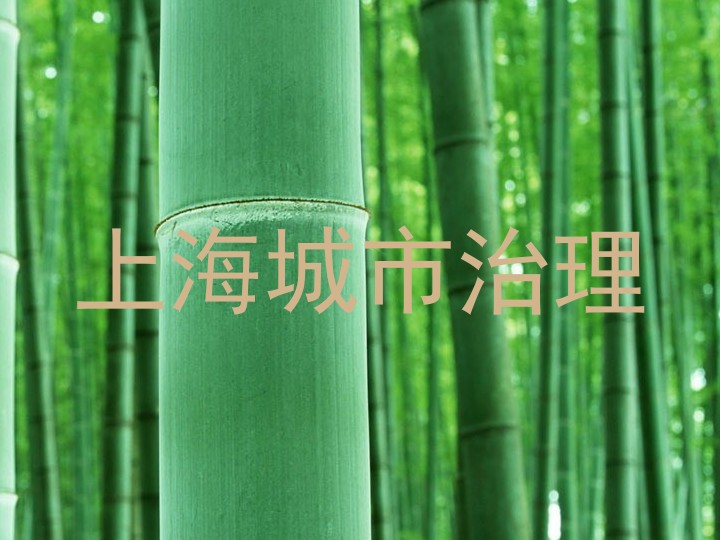 上海城市治理