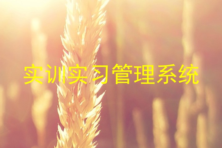实训实习管理系统