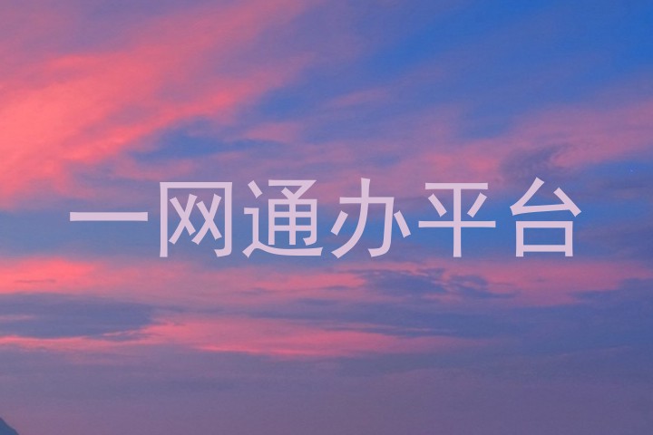 一网通办平台
