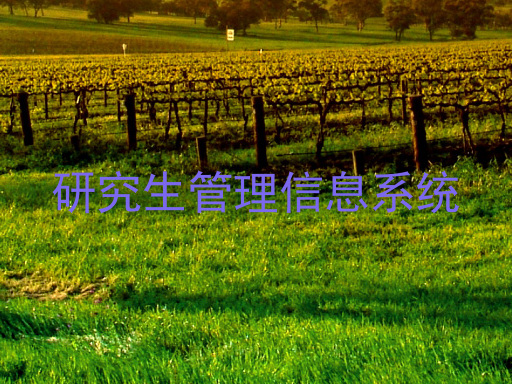 研究生管理信息系统