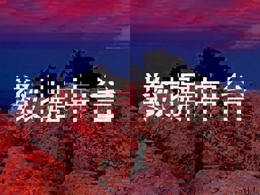 数据中台