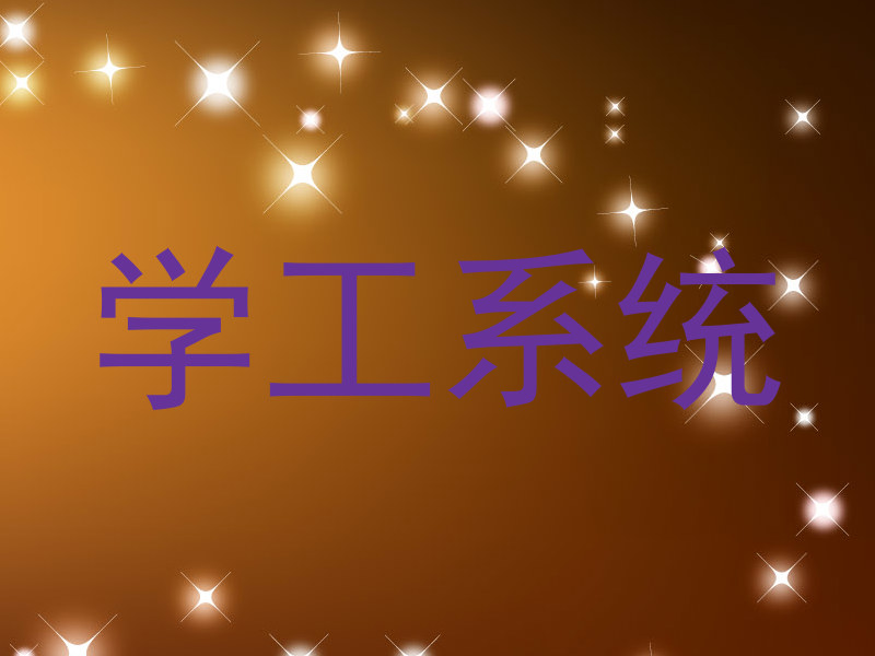 学工系统