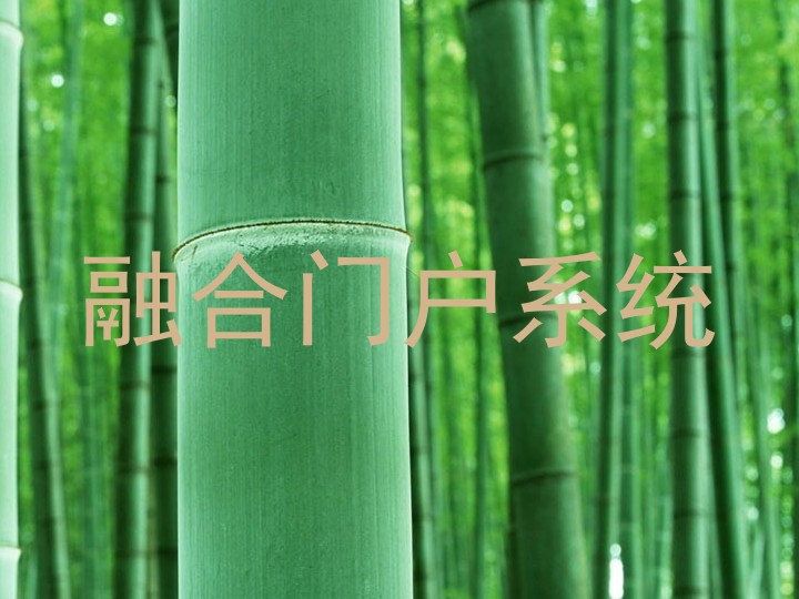 融合门户系统