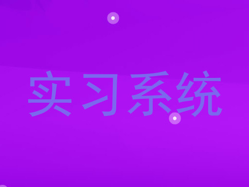 实习系统