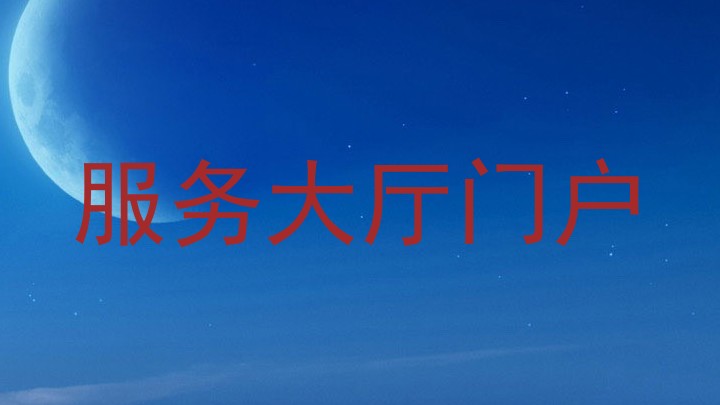 服务大厅门户