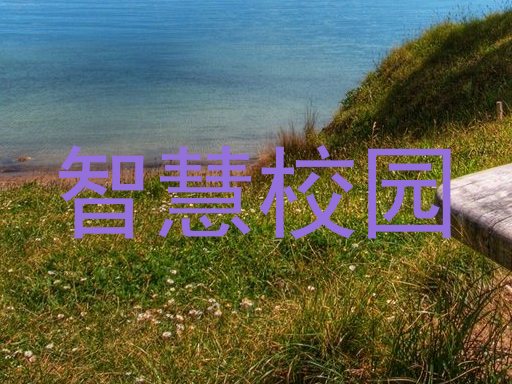 智慧校园