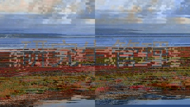 研究生管理