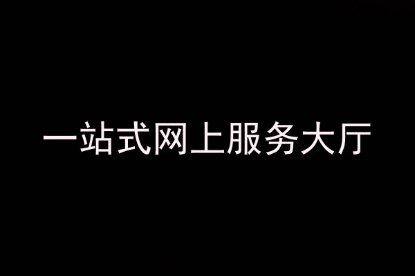 一站式网上服务大厅