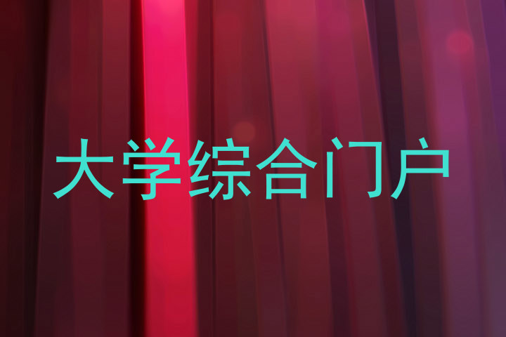 大学综合门户