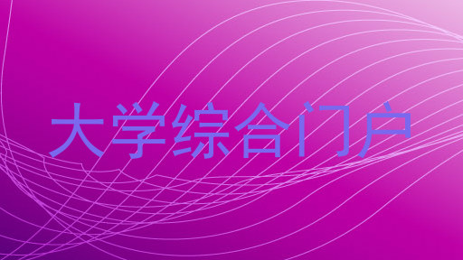 大学综合门户