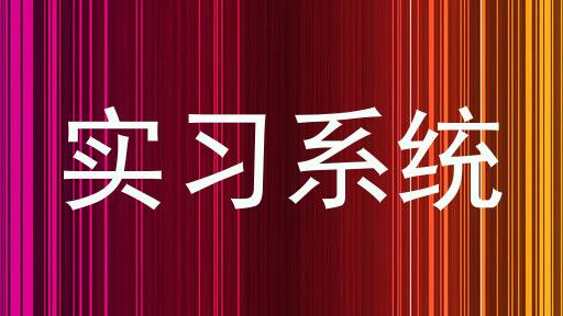 实习系统
