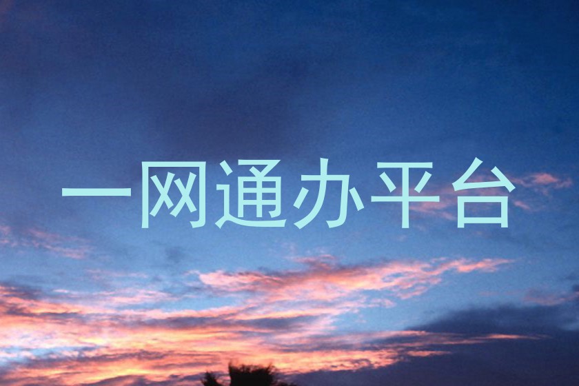 一网通办平台