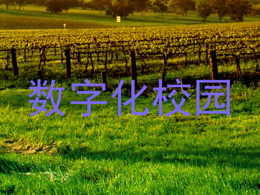 数字化校园