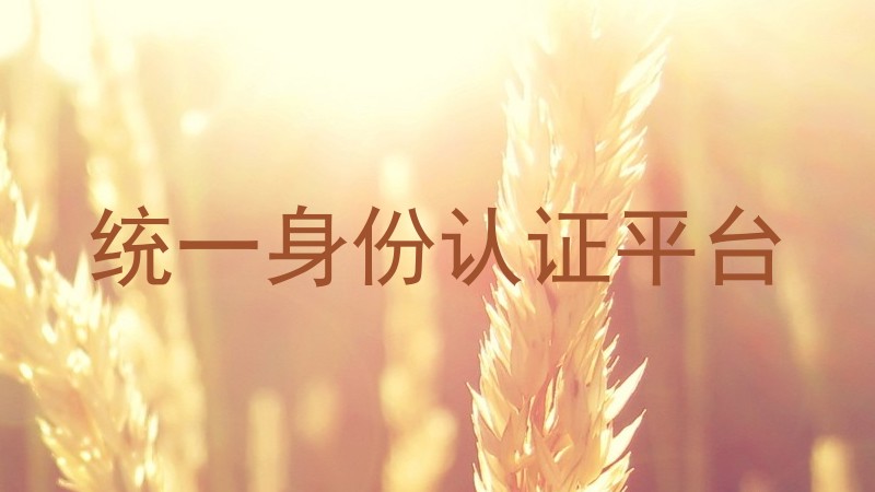 统一身份认证平台