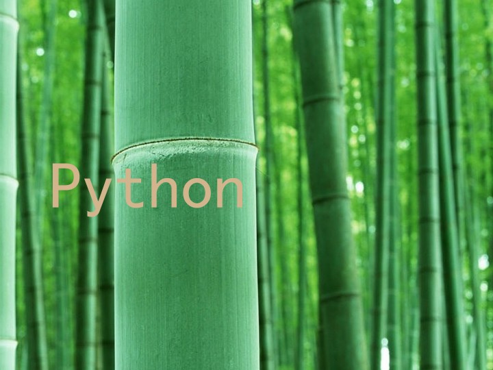 Python