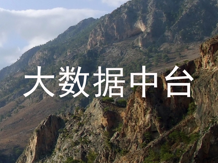 大数据中台