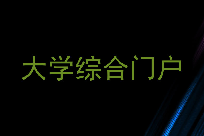 大学综合门户