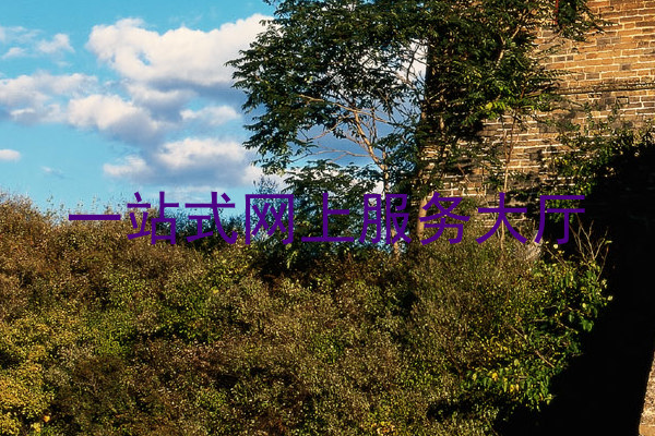 一站式网上服务大厅