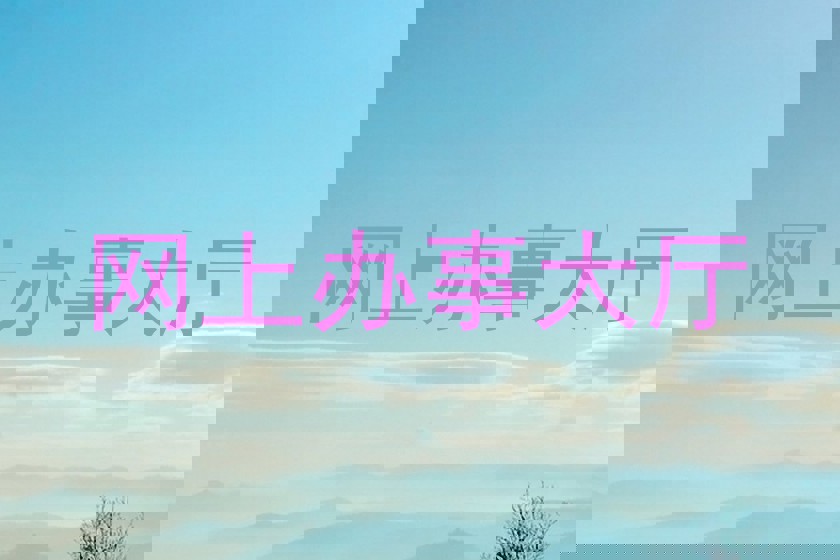 网上办事大厅