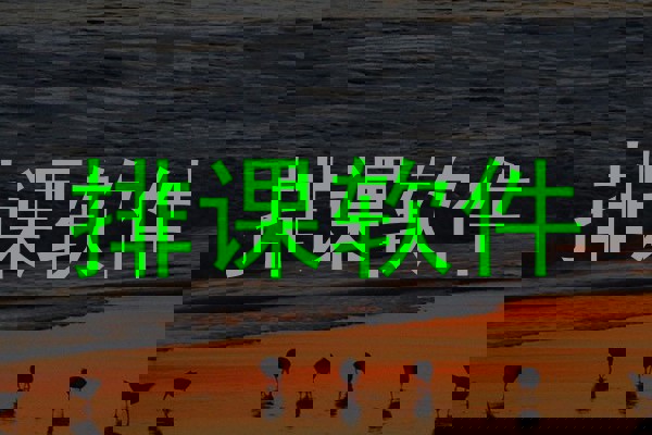排课软件