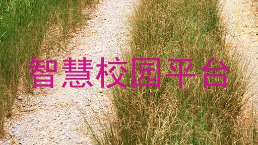 智慧校园平台