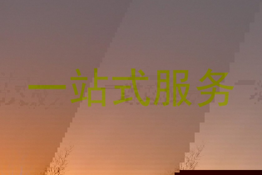 一站式服务