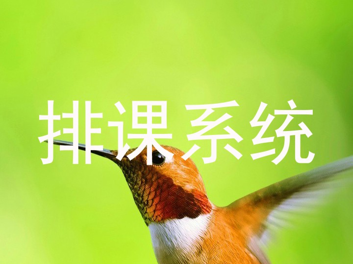 排课系统