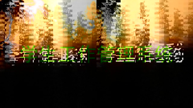 学生工作管理系统