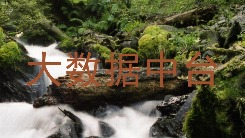 大数据中台