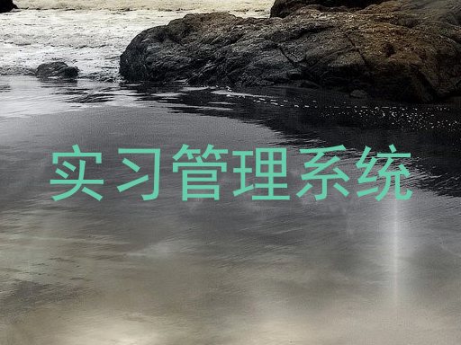 实习管理系统