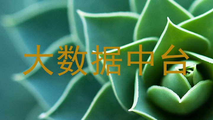 大数据中台