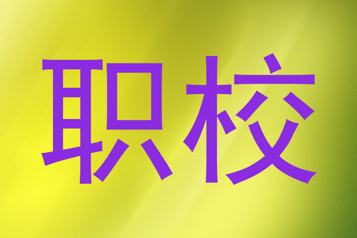 职校