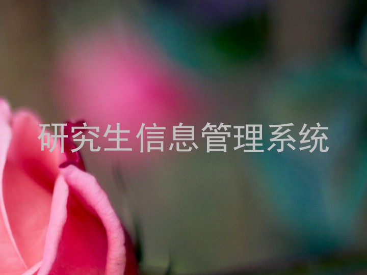 研究生信息管理系统