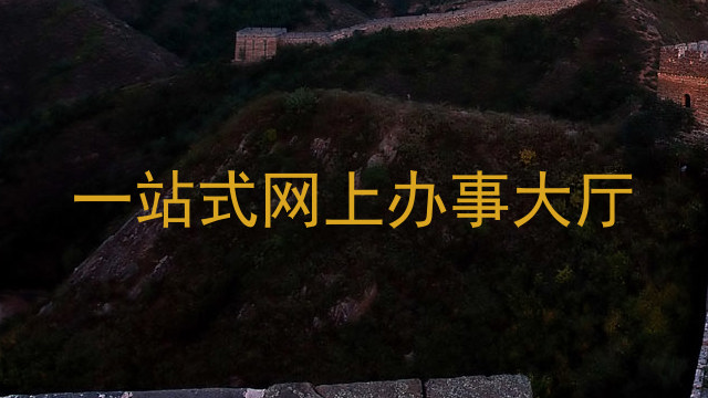 一站式网上办事大厅
