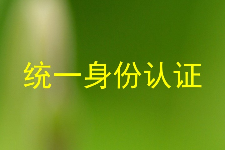 统一身份认证