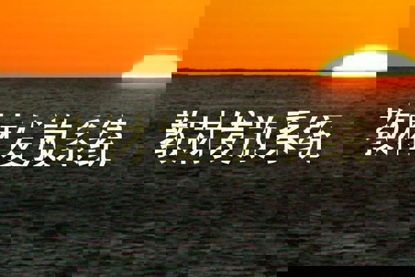 教材发放系统