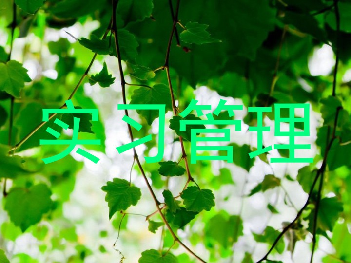 实习管理
