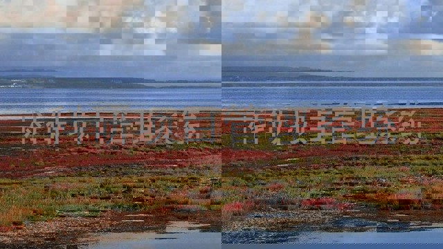 科研项目管理系统