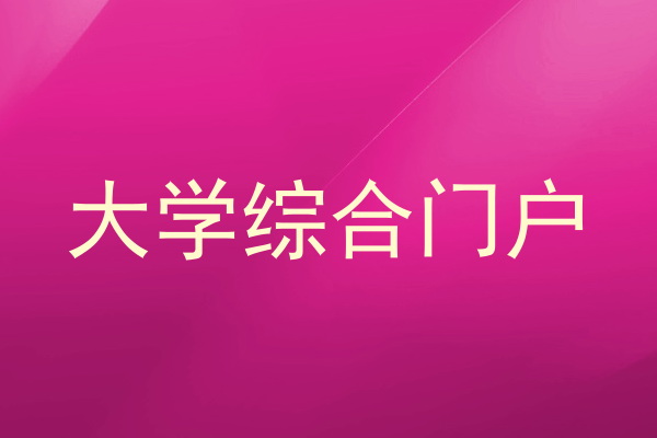 大学综合门户