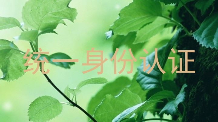 统一身份认证