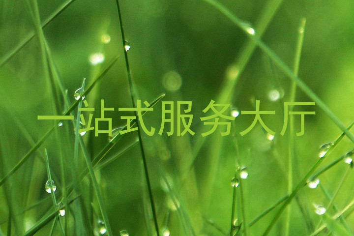 一站式服务大厅