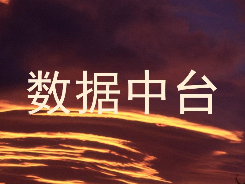 数据中台