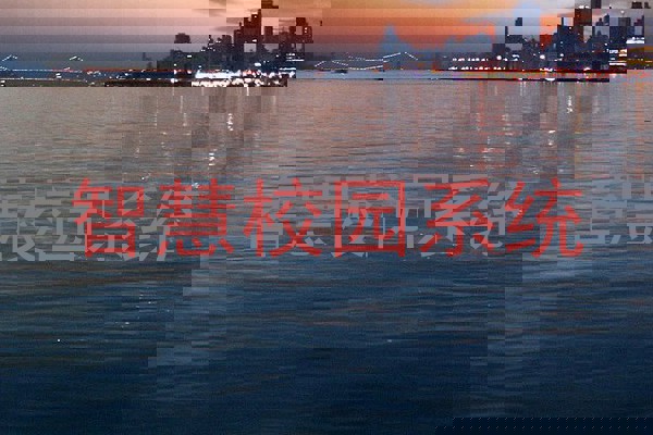 智慧校园系统