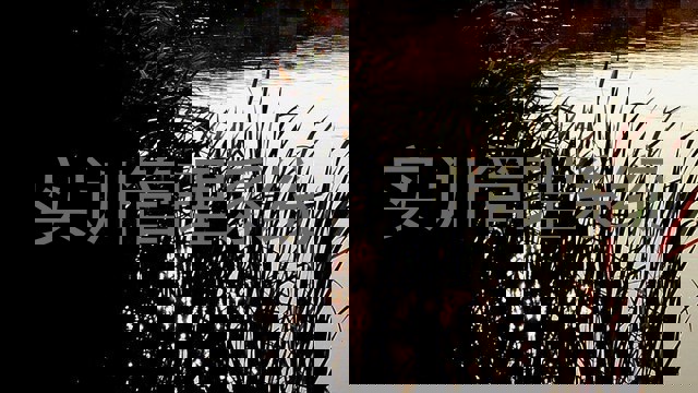实训管理系统