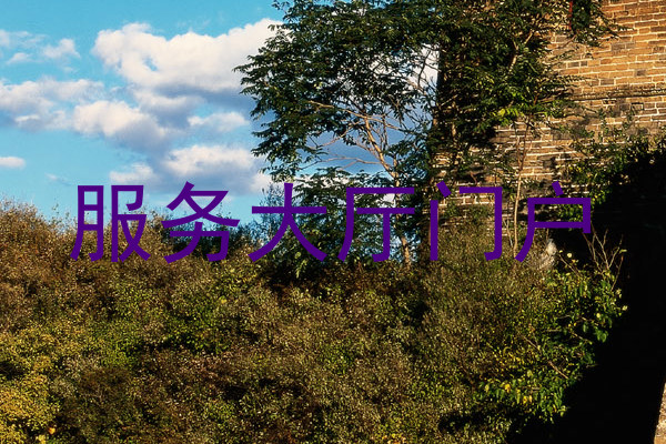 服务大厅门户