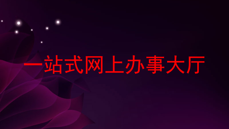 一站式网上办事大厅