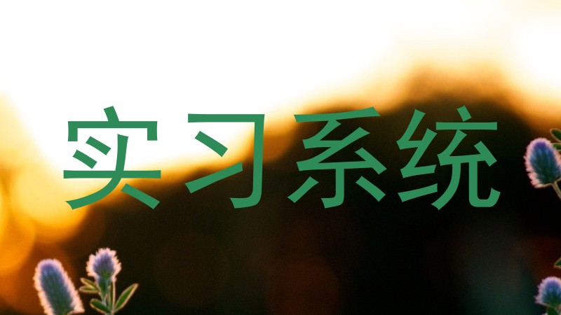实习系统