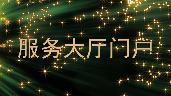 服务大厅门户